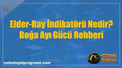 Elder-Ray İndikatörü Nedir? Boğa Ayı Gücü Rehberi