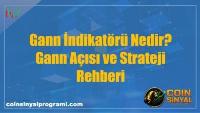 Gann İndikatörü Nedir? Gann Açısı ve Strateji Rehberi
