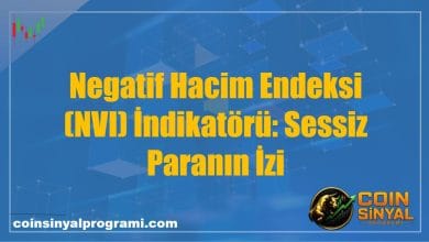 Negatif Hacim Endeksi (NVI) İndikatörü: Sessiz Paranın İzi