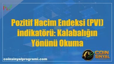 Pozitif Hacim Endeksi (PVI) indikatörü: Kalabalığın Yönünü Okuma