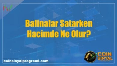 Balinalar Satarken Hacimde Ne Olur?