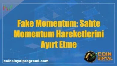 Fake Momentum: Sahte Momentum Hareketlerini Ayırt Etme