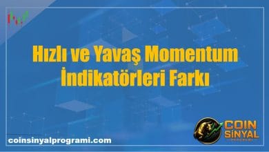 Hızlı ve Yavaş Momentum İndikatörleri Farkı
