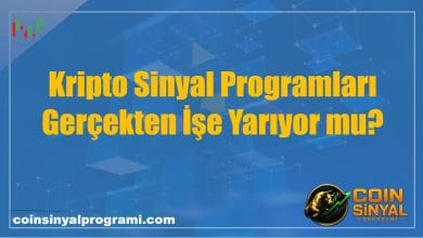 Kripto Sinyal Programları Gerçekten İşe Yarıyor mu?