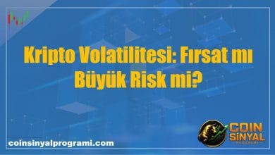 Kripto Volatilitesi: Fırsat mı Büyük Risk mi?