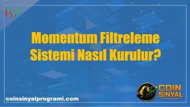 Momentum Filtreleme Sistemi Nasıl Kurulur?