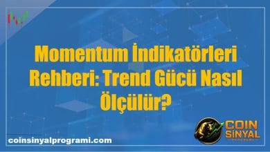 Momentum İndikatörleri Rehberi: Trend Gücü Nasıl Ölçülür?