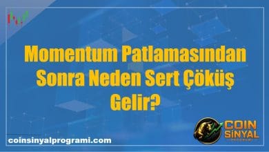 Momentum Patlamasından Sonra Neden Sert Çöküş Gelir?