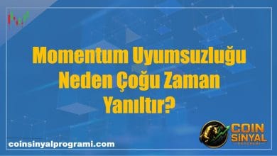 Momentum Uyumsuzluğu Neden Çoğu Zaman Yanıltır?