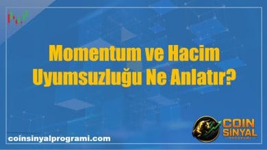 Momentum ve Hacim Uyumsuzluğu Ne Anlatır?