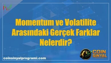 Momentum ve Volatilite Arasındaki Gerçek Farklar Nelerdir?