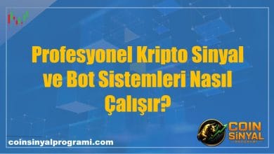 Profesyonel Kripto Sinyal ve Bot Sistemleri Nasıl Çalışır?