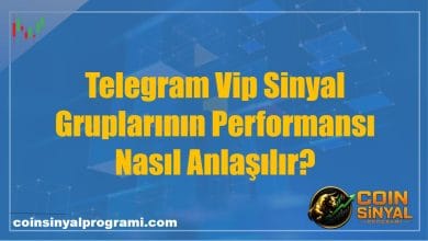 Telegram Vip Sinyal Gruplarının Performansı Nasıl Anlaşılır?